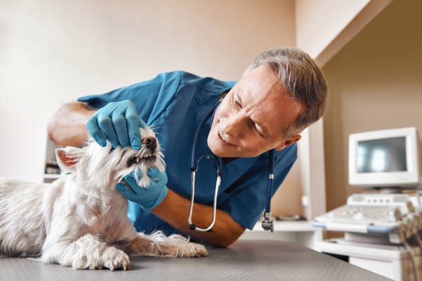 Best Emergency Wisdom Teeth Removal in Dickinson, TX